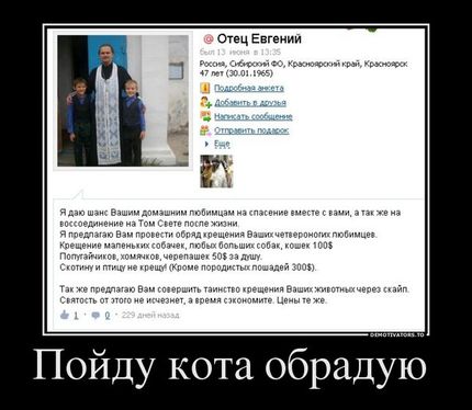 Пойду кота обрадую...