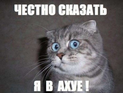 Ave Краснодар!